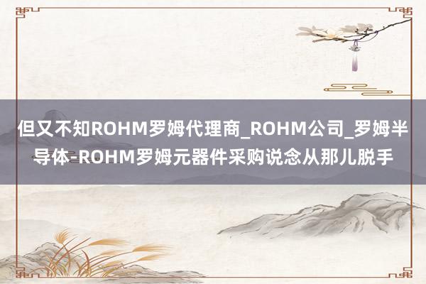 但又不知ROHM罗姆代理商_ROHM公司_罗姆半导体-ROHM罗姆元器件采购说念从那儿脱手
